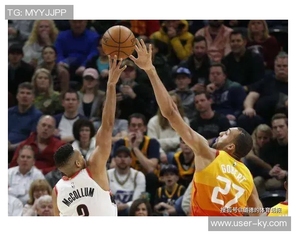 冷知识揭秘：独行侠四位球员的双胞胎兄弟姐妹关系分析